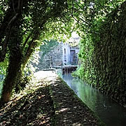 The mill stream at the watermill at Posara, Italy