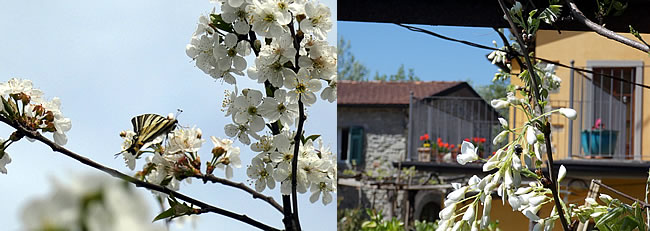 Spring at the watermill in Tuscany, Italy