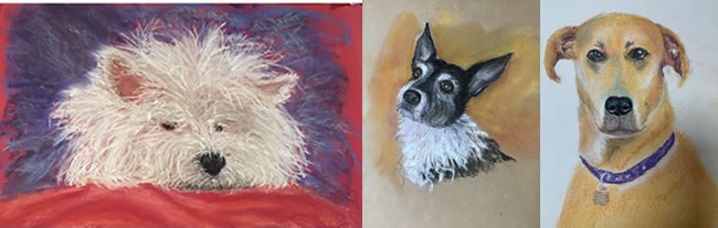 Guest artist's dog paintings