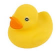 Bathroom duck